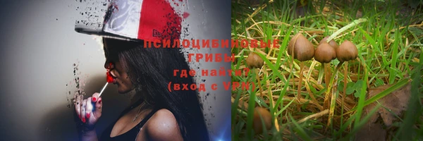 марихуана Новозыбков