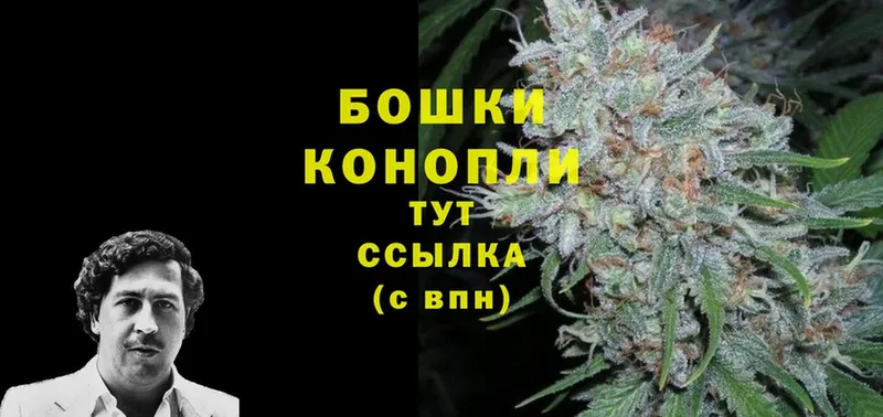 купить наркотики сайты  Кукмор  Конопля Bruce Banner 